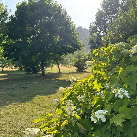 L Ancien Fournil - Sejour Authentique & Douillet - Proche De Sarlat Feriehus