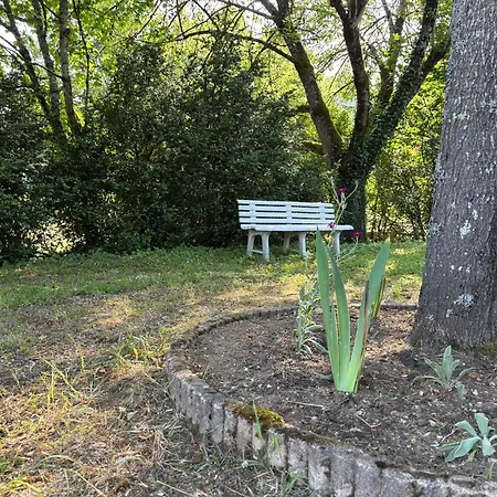 L Ancien Fournil - Sejour Authentique&douillet - Proche De Sarlat Hébergement de vacances *