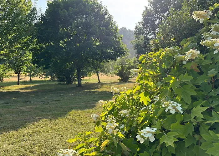 L Ancien Fournil - Sejour Authentique & Douillet - Proche De Sarlat Vakantiehuis