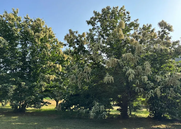 Vakantiehuis L Ancien Fournil - Sejour Authentique & Douillet - Proche De Sarlat *